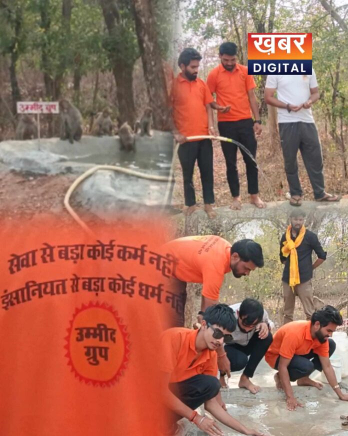 IMG 20260319 230539 696x872