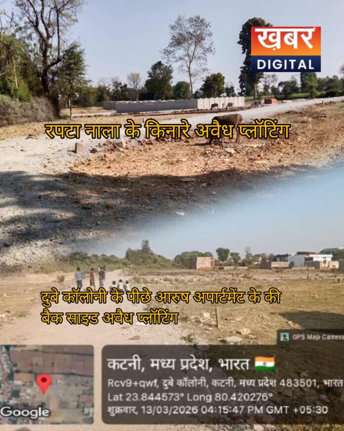 IMG 20260326 193632 696x872