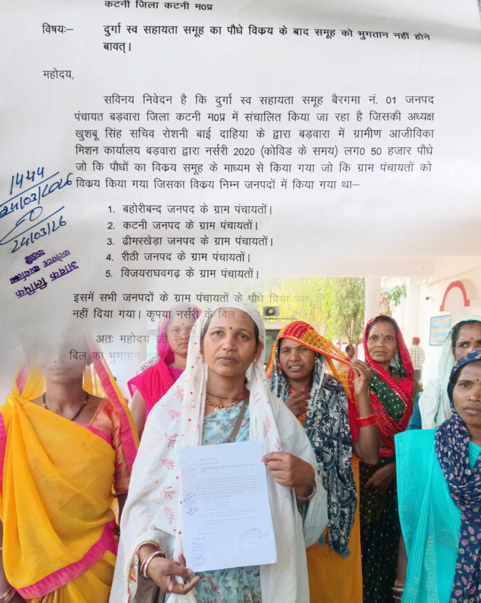 InShot 20260324 140740445 696x871