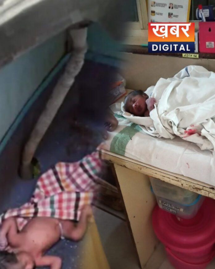 InShot 20260330 084125958 696x871