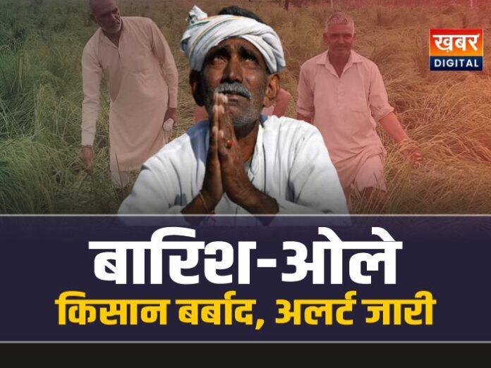 MP Weather Update : सावधान! मध्यप्रदेश में बारिश-ओले से किसान बर्बाद, बड़ा अलर्ट जारी