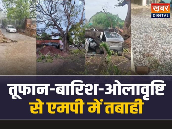 मध्यप्रदेश में तूफान-बारिश-ओलावृष्टि से तबाही, फसलें बर्बाद!