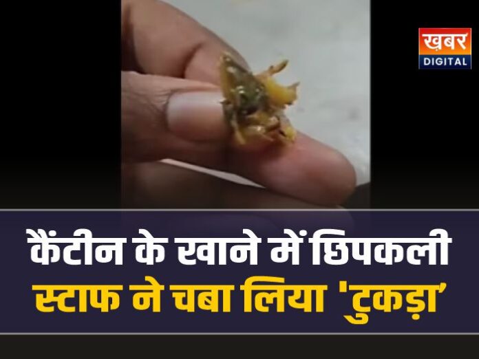 Bhopal RGPV : कॉलेज की कैंटीन के खाने में निकली छिपकली, स्टाफ ने खाकर बोला…