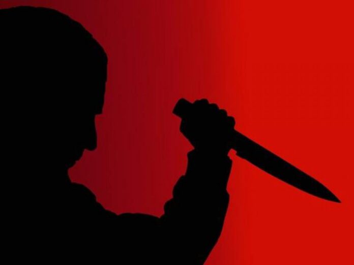 Chaku Halla 20 201903203551 696x522