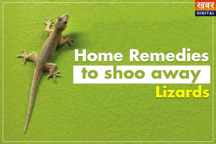 Chipkali Bhagane ke Tips