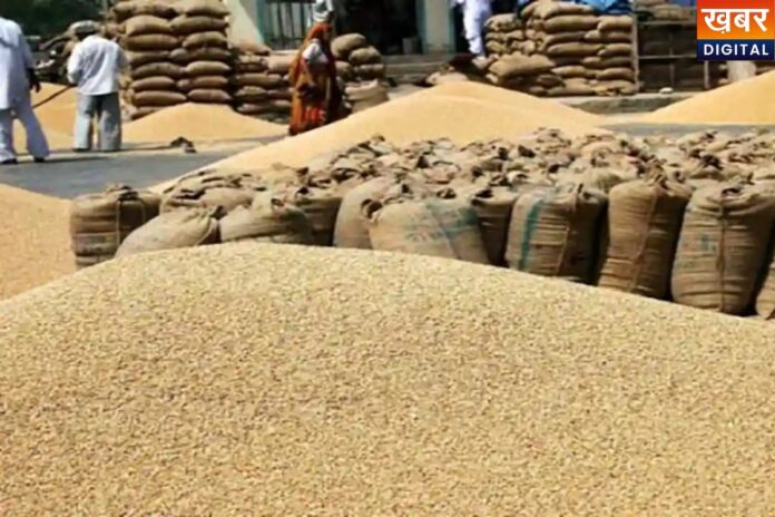 MP Wheat Procurement: किसानों की बढ़ी परेशानी, गेहूं खरीदी टली, जानिए नई डेट