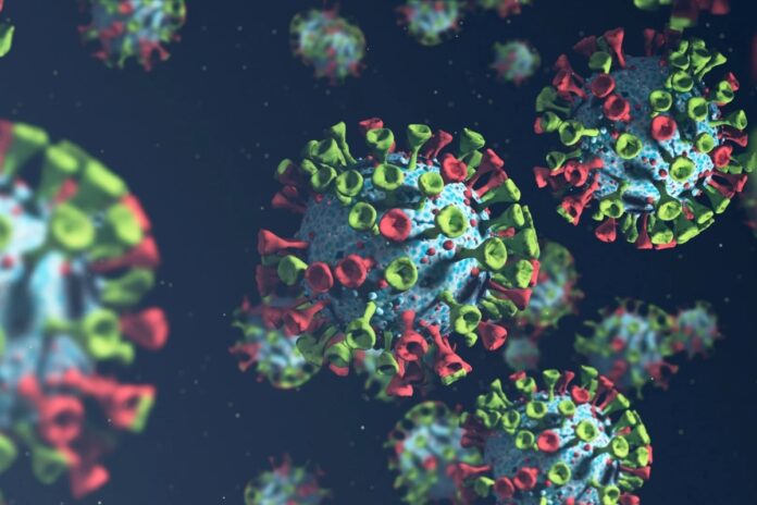 New COVID Variant BA.3.2 Cicada: फिर कोरोना की एंट्री, जानें लक्षण और बचाव के तरीके