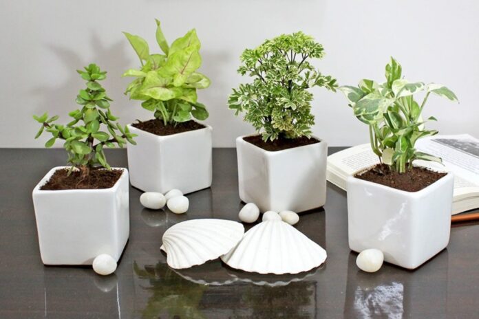 Vastu Tips To Avoid Negativity 696x464