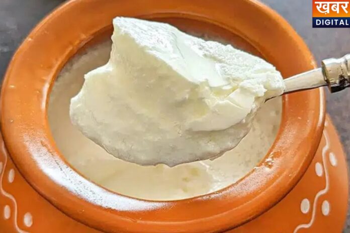 गर्मियों में दही जल्दी हो जाता है खट्टा. अपनाएं ये आसान टिप्स और रखें लंबे समय तक फ्रेश