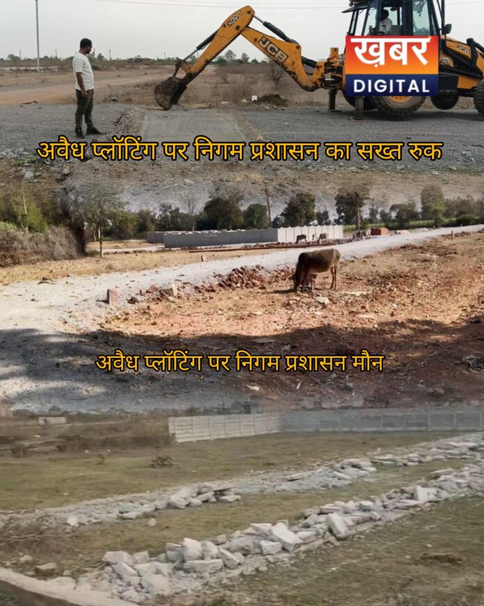 IMG 20260404 192646 696x872