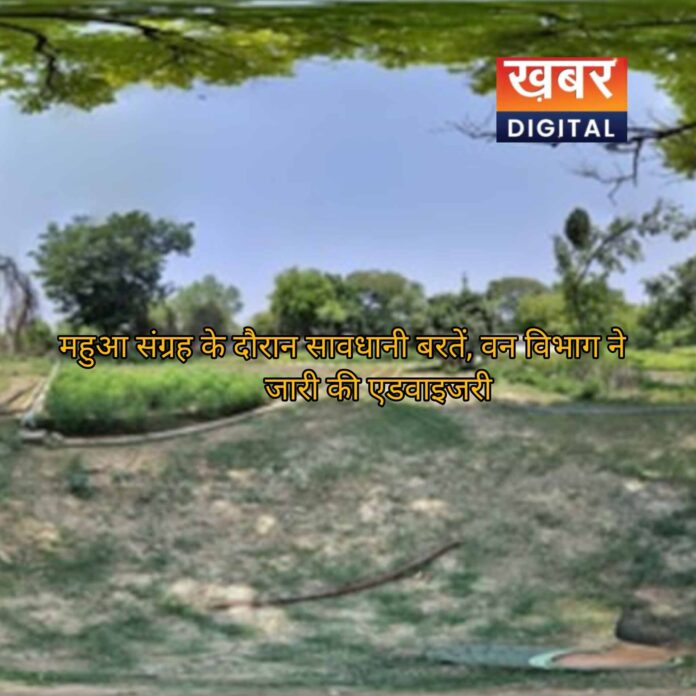 IMG 20260409 185911 696x696