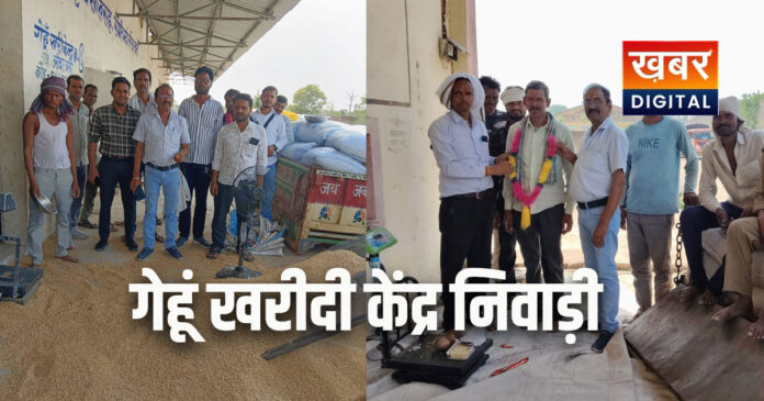 Niwari Wheat Procurement 2026