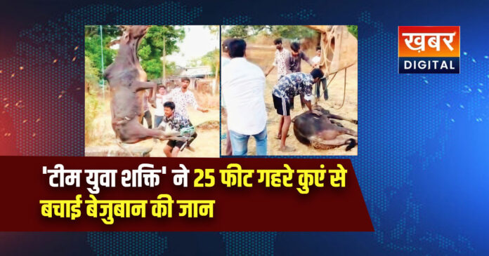 'टीम युवा शक्ति' ने 25 फीट गहरे कुएं से बचाई बेजुबान की जान