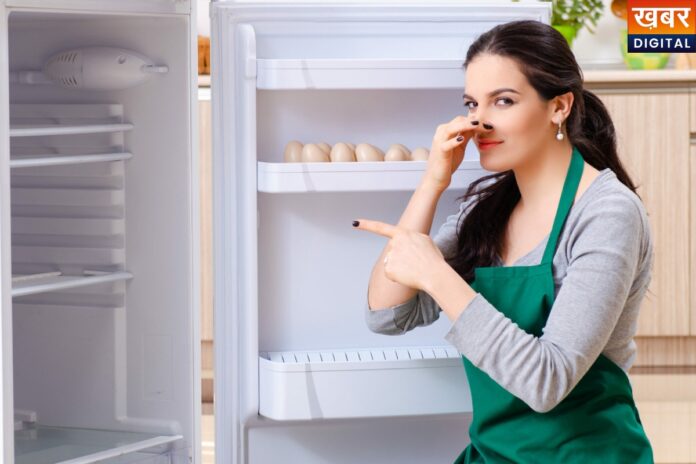 Fridge Cleaning: फ्रिज से आ रही बदबू से हैं परेशान, इस चीज को लगाकर मिनटों में करें क्लीन
