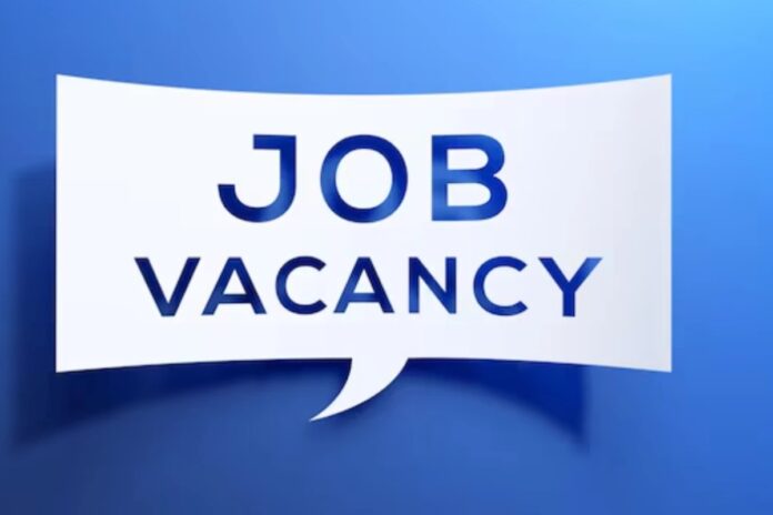 Job Vacancy: 6वीं पास से लेकर पोस्ट ग्रेजुएट तक के लिए नौकरी, 2295 पदों पर निकली भर्ती, ऐसे करें तुरंत अप्लाई