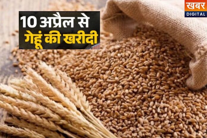 MP Wheat Kharid 2026: किसानों की चांदी-चांदी, इस दिन से गेहूं की खरीदी होगी शुरू