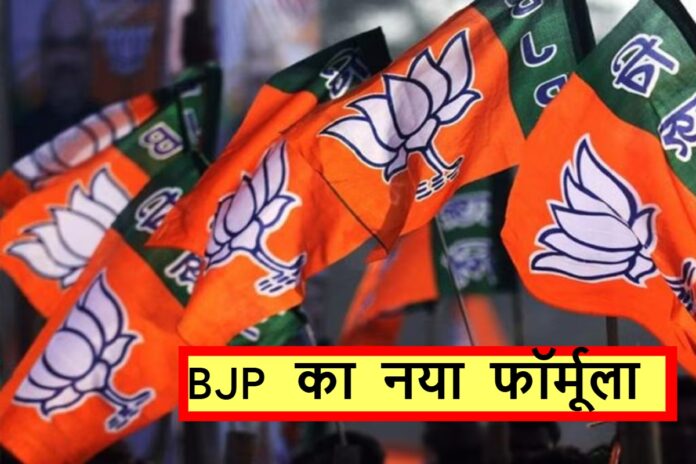 BJP New Leader Suchi: भाजपा की नई राष्ट्रीय टीम में चमकेगा मध्यप्रदेश, कैलाश विजयवर्गीय समेत कई नाम चर्चा में