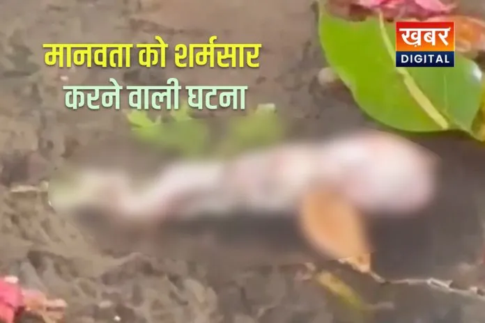 2 अलग-अलग जगहों पर मिला नवजात भ्रूण का शव