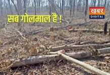 Harda News: प्रतिकात्मक चित्र