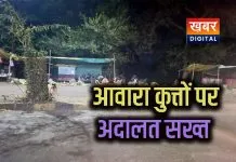 आवारा कुत्तों के नियंत्रण पर परिषद से 29 नवंबर तक विस्तृत रिपोर्ट तलब.. अदालत गंभीर कुत्तों को जल्द पकड़ने के निर्देश