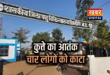 पशु चिकित्सालय परिसर में पालतू कुत्ते का उत्पात... चार लोगों पर किया हमला काटने के बाद अस्पताल पहुंचे चारों