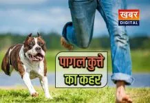 प्रतिकात्मक चित्र