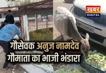 गौशाला में सब्जियां खिलाने वाले अनुज नामदेव की कहानी... पौष्टिक सब्जियां का गौमाता का भंडारा