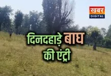 दिनदहाड़े बाघ की एंट्री!... खेतों में मचा हड़कंप, ग्रामीणों में दहशत नर्सरी में घंटों दहाड़ता रहा वनराज