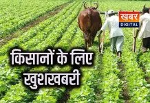 किसानों के लिए एक और खुशखबरी.. भावांतर योजना 2025 के सोयाबीन के मॉडल रेट किए जारी मोहन सरकार की सौगात