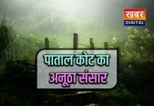जमीन के नीचे मनुष्यों का संसार... तामिया के पातालकोट की यही पहचान रहस्यमयी जड़ी-बूटियों का छिपा खजाना
