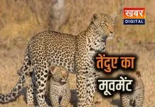 प्रतिकात्मक चित्र