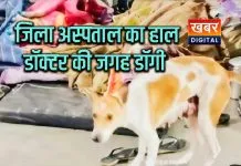 जहां बचनी थी जिंदगियां, वहां घूमता रहा कुत्ता जिला अस्पताल की सुरक्षा पर सवाल