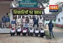 संजय टाइगर रिजर्व में शिकारी गिरोह पर करारा वार... जंगली सुअर-चितल के शिकार में 6 आरोपी दबोचे गए