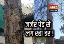 जर्जर पेड़ बना राहगीरों के लिए डर का कारण... हादसे की बनी हुई आशंका महावर नगर इलाके का मामला