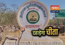 रानी दुर्गावती टाइगर रिजर्व में जुलाई 2026 में छोड़े जाएंगे चीते... बुंदेलखंड के पर्यटन को मिलेगा नया आयाम सीएम डॉ. मोहन यादव ने की घोषणा
