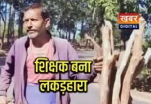 शिक्षक जंगल से लकड़ी बेचने पर मजबूर... 14 साल की खामोशी की सजा सिस्टम की लापरवाही
