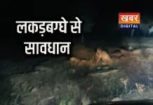 श्योपुर में लकड़बग्घा(हायना) का आतंक... सड़कों पर आतंक मचा रहा लकड़बग्घा सावधान करने के लिए अपील