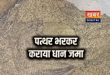 धान खरीदी में बड़ा फर्जीवाड़ा... बोरियों में पत्थर भरकर वेयरहाउस में कराया जा रहा था भंडारण 87 क्विंटल अमानक धान जब्त