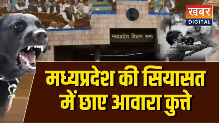 मध्यप्रदेश की सियासत में छाए आवारा कुत्ते... डॉग बाइट की घटनाओं पर जताई चिंता कुत्तों की नस्ल खत्म करने की भी मिली सलाह