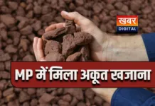 MP के 14 गांवों के नीचे मिले खजाने से प्रदेश होगा मालामाल... सरकार को मिलेगा जमकर राजस्व तीन तहसीलों में शुरू हुई नीलामी