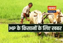 मध्यप्रदेश के किसानों के लिए खुशखबरी... सरसों और तुअर पर भी होगा भावांतर लागू केंद्र सरकार ने दी अनुमति