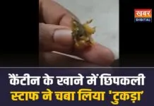 Bhopal RGPV : कॉलेज की कैंटीन के खाने में निकली छिपकली, स्टाफ ने खाकर बोला…