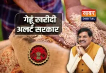 MP के किसानों का 15 मार्च से खरीदा जाएगा गेहूं... 80 लाख मीट्रिक टन का रखा गया टारगेट सरकार ने की SOP जारी