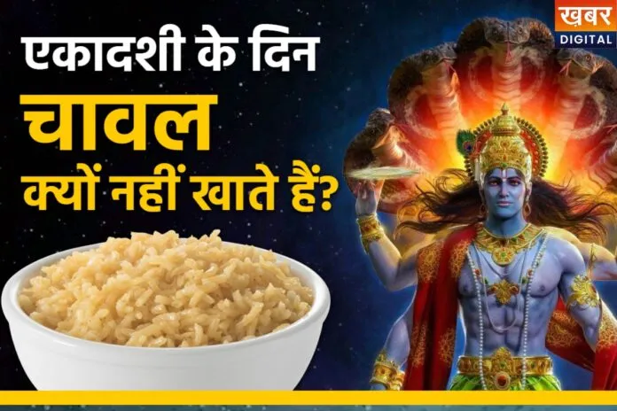 Ekadashi Rules: एकादशी पर क्यों नहीं खाते चावल? जानिए इसके पीछे का चौंकाने वाला कारण