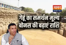 MP में गेंहू के दामों को लेकर शुरु हुई रस्सी-कस्सी... कांग्रेस ने की सरकार से मांग पिछली बार ज्यादा दिया था बोनस